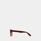 Navigator Sunglasses - TOTEME - Acetate - Brown