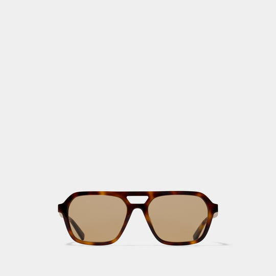 Sl 905 Sunglasses - Saint Laurent - Acetate - Brown
