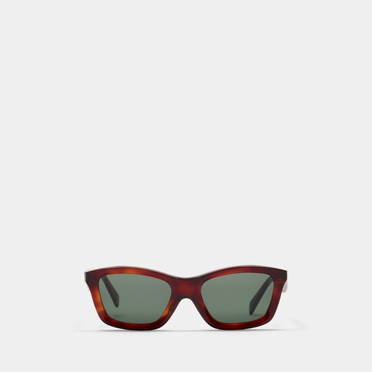 Classic Sunglasses - TOTEME - Acetate - Brown