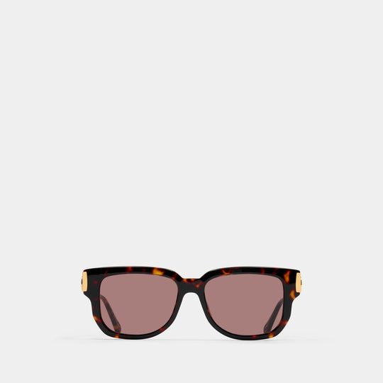 Ch0351s Sunglasses - Chloé - Acetate - Brown